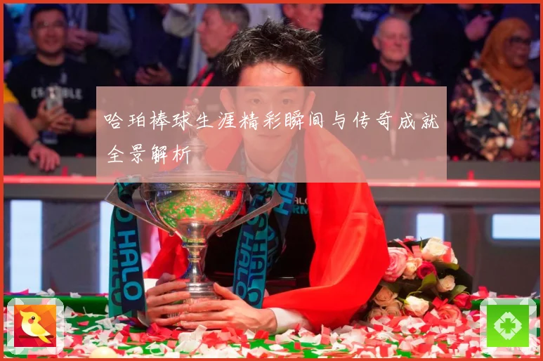 哈珀棒球生涯精彩瞬间与传奇成就全景解析